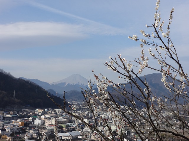 岩殿山の桜の様子(2014.3.29)