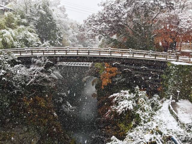 雪の猿橋（2016.11.24）