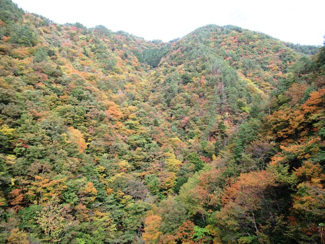 03.H29.11.01深城ダム周辺の山