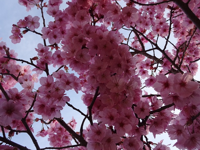 DSC06947 - コピー