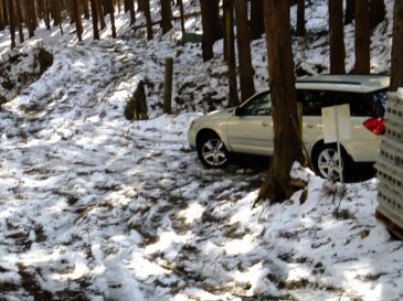 ⑪林道終点の駐車スペース　11：40頃