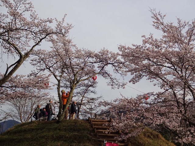 DSC06942 - コピー