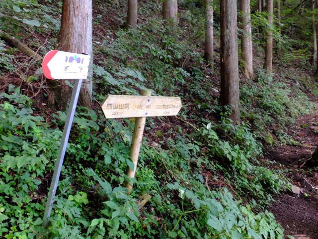 ⑮ツツジ群生地への分岐