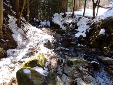 ⑩水量豊富な穴路沢　11：30頃
