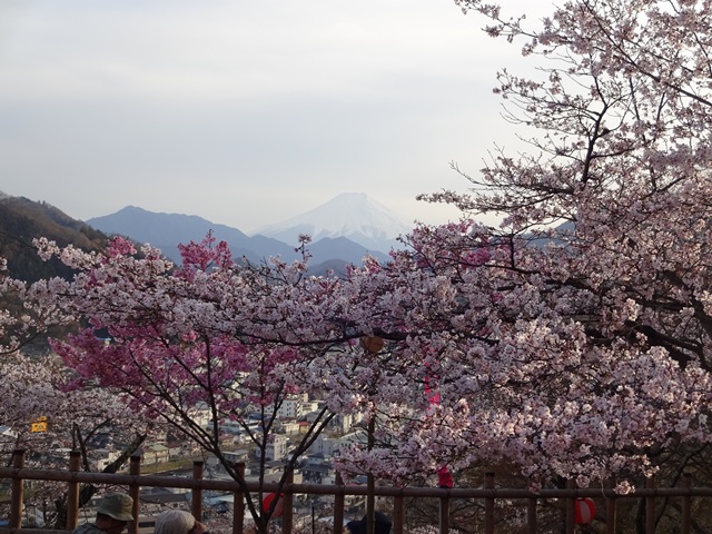 DSC06962 - コピー