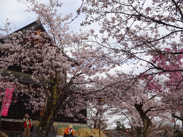 DSC06881 - コピー