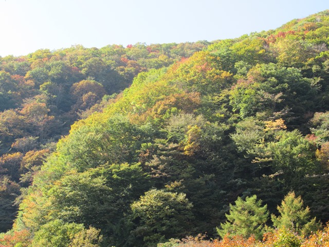 07.H29.10.27松姫峠