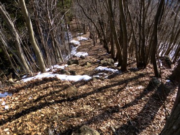 ⑥山頂直下の登山道　9：10頃