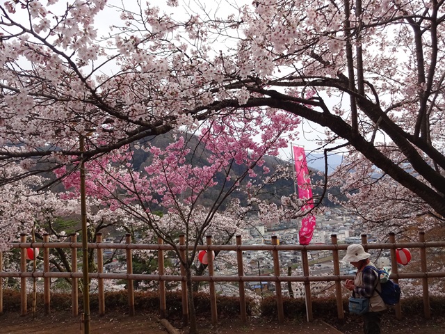 DSC06886 - コピー