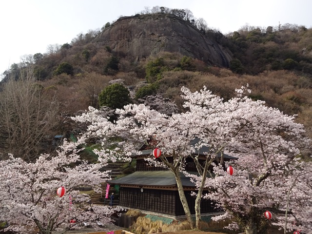 DSC06897 - コピー