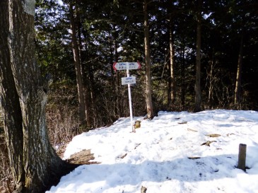 ⑦天神山山頂9：35頃　