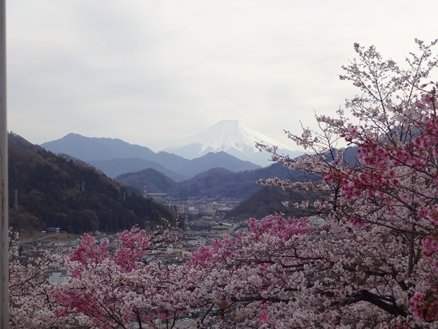 DSC06934 - コピー