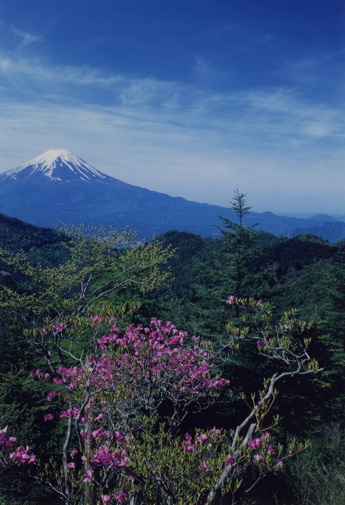 山頂からの富士山