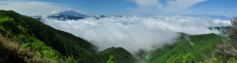 大蔵高丸から　　朝８時半過ぎ