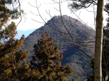 山頂からの倉岳山