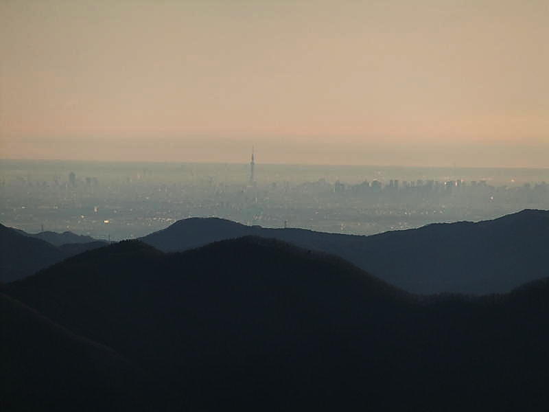 遥か彼方にスカイツリーが見えます