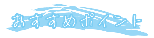 おすすめポイント