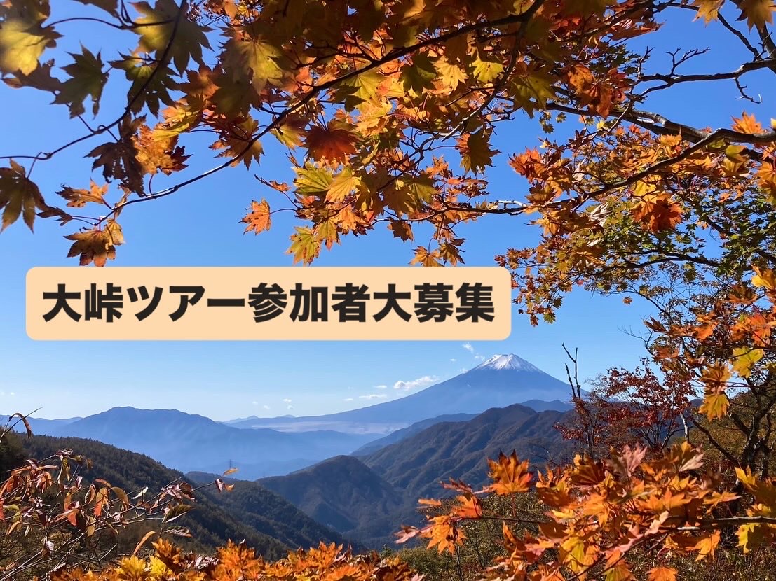 紅葉シーズンの大峠への1日タクシー運行致します。
