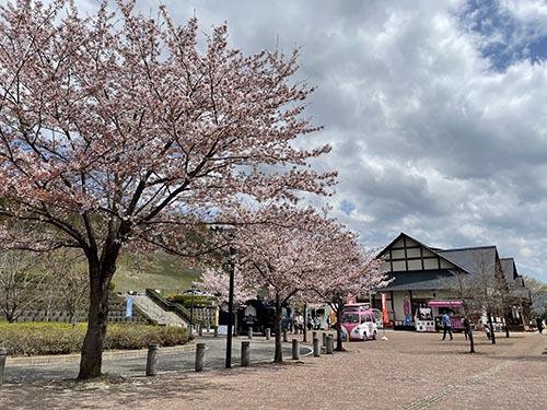 桂川ウェルネスパーク