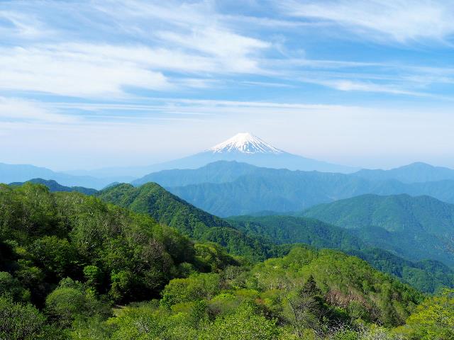 新緑の彼方の美しい富士山