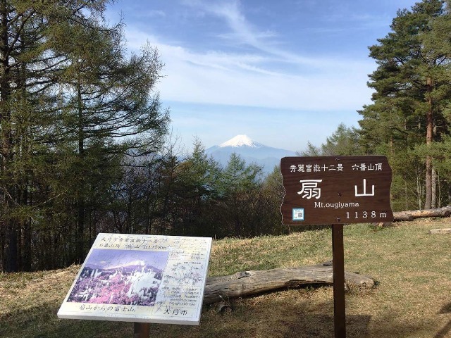 扇山の山火事について