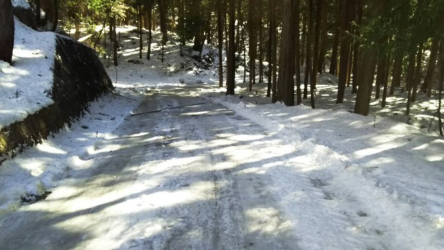 積雪から２日後の登山口周辺の状況