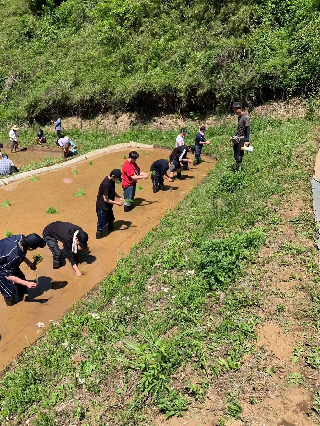 地元の短大・中学・小学校・幼稚園と連携し、農業実習や食育を実施。企業との交流も。