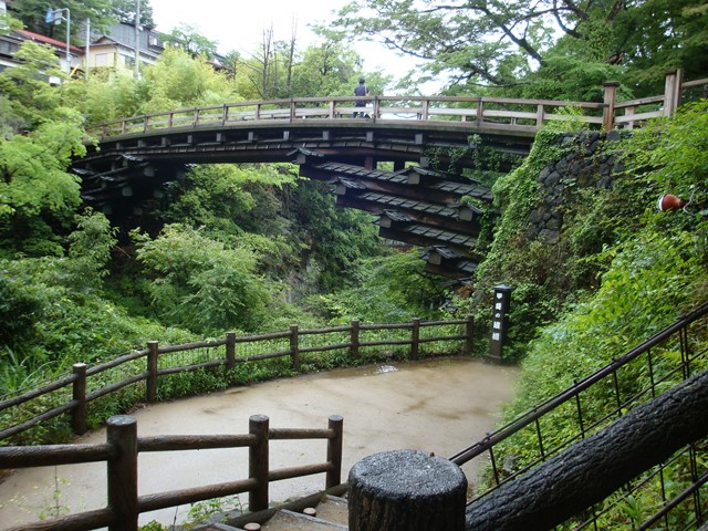 新緑に包まれた猿橋