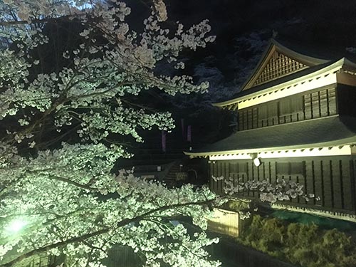 岩殿山丸山公園（ライトアップ）