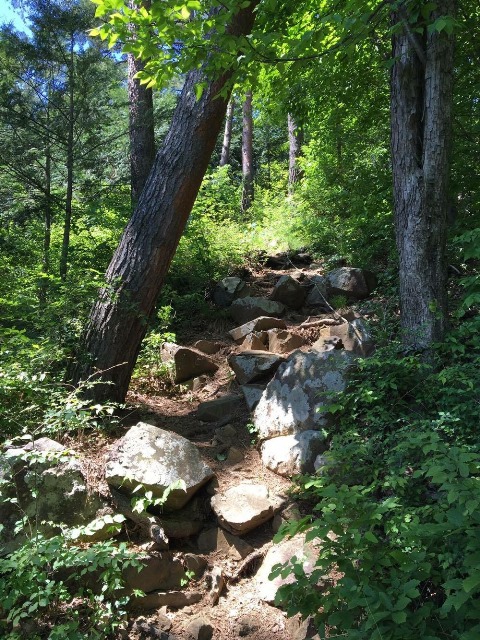 ざれ場があります