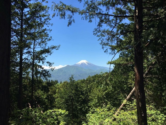 山頂からの富士山