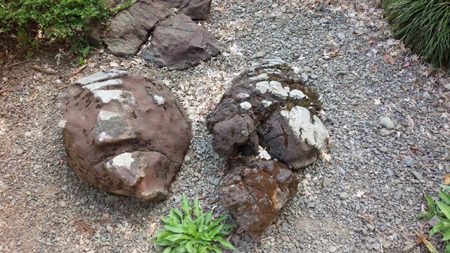 触れれば長寿の「夫婦亀石」