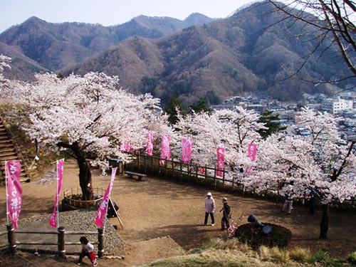 岩殿山丸山公園